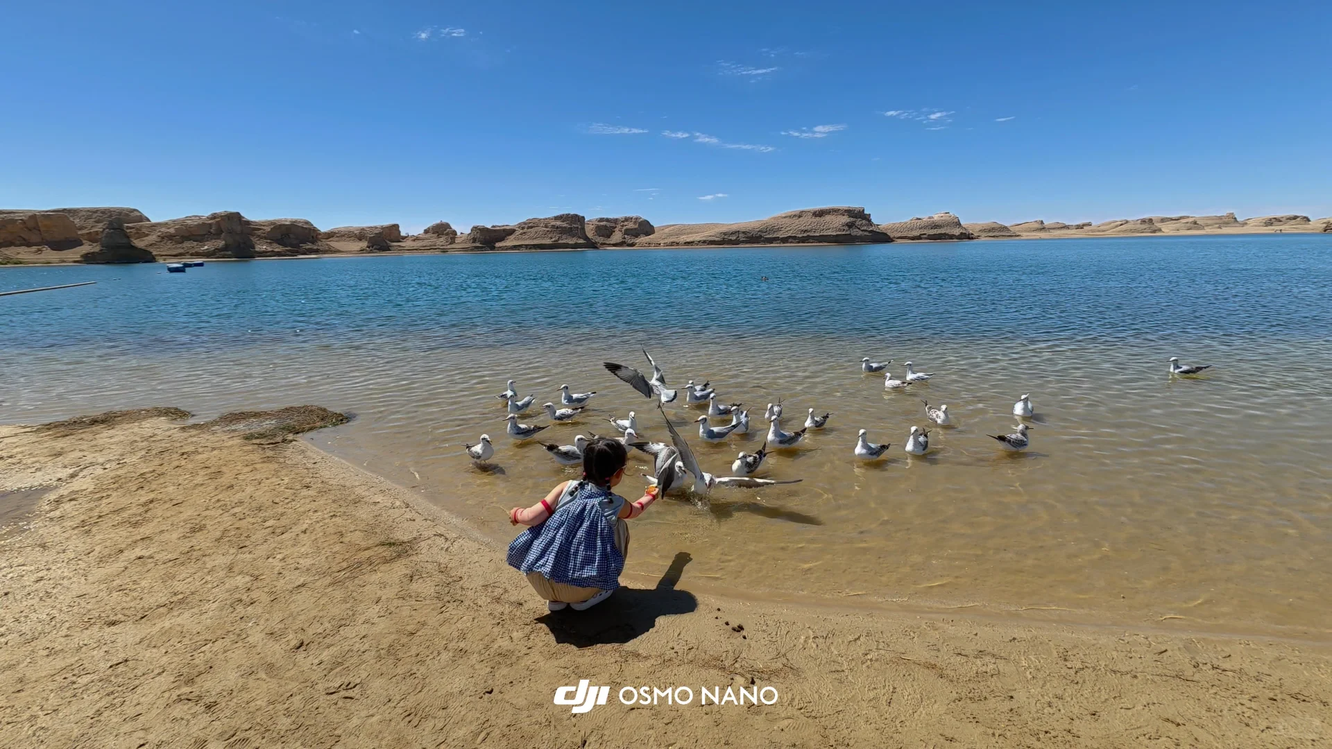 水上雅丹的浅滩、湖水和远处雅丹地貌